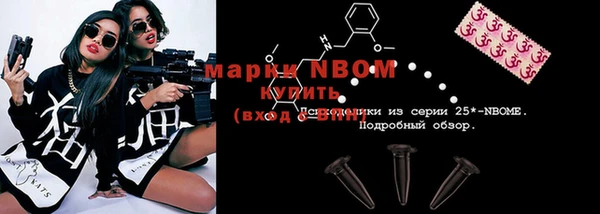 хмурый Бородино
