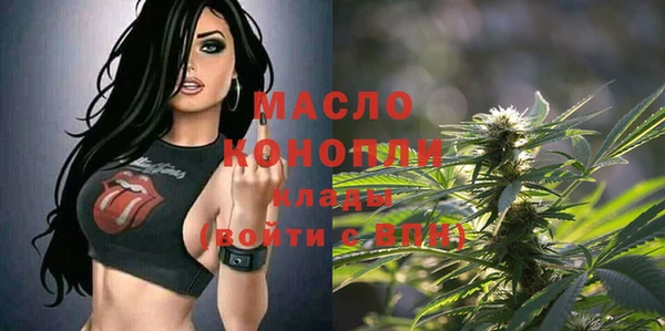 хмурый Бородино